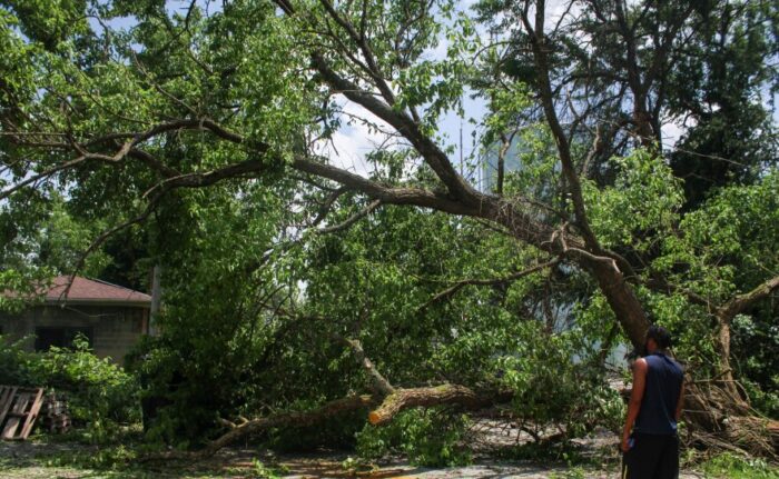 WVPB June 2022 Wheeling Storm Tree Down 2.jpg