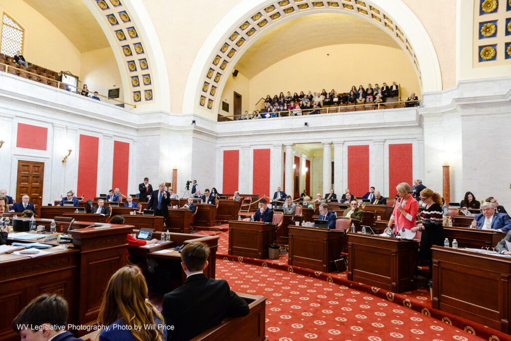 A wide view of the Senate Chamber on Feb. 27, 2023 shows Sen. Amy Grady dressed in pink standing to speak.