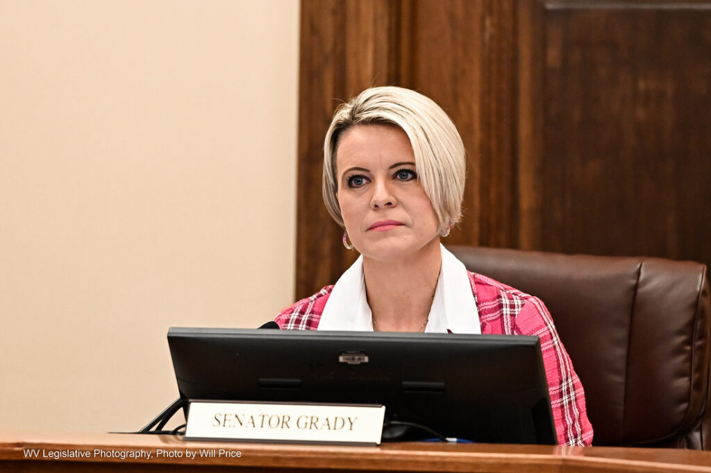 A woman with blond hair in a pink plaid dress shirt sits behind a computer screen in a West Virginia Senate committee room.