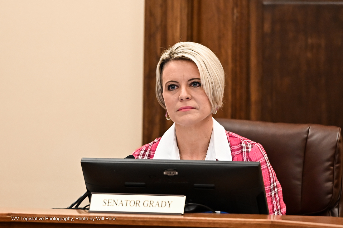 A woman with blond hair in a pink plaid dress shirt sits behind a computer screen in a West Virginia Senate committee room.