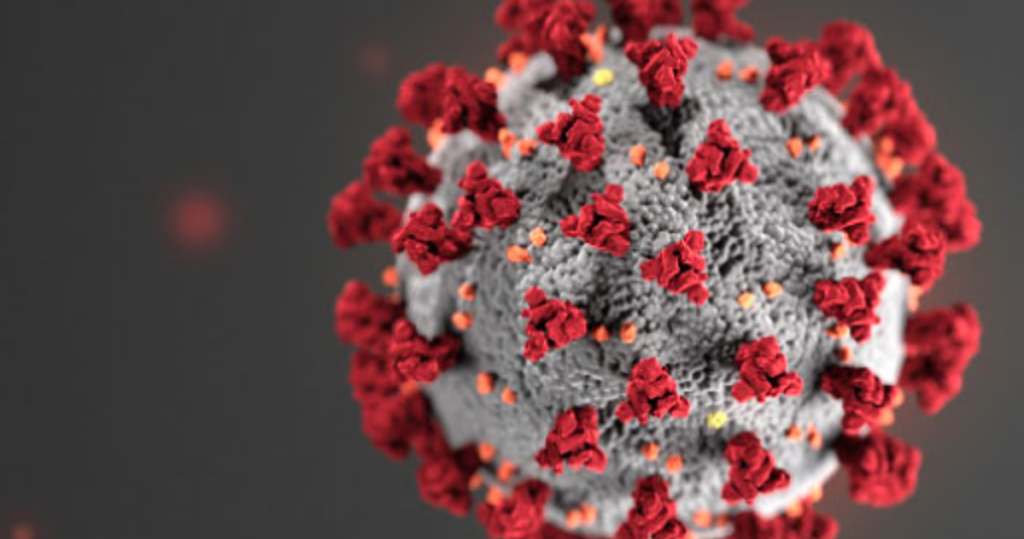 A 3D rendering of the Coronavirus (COVID-19) spike ball.