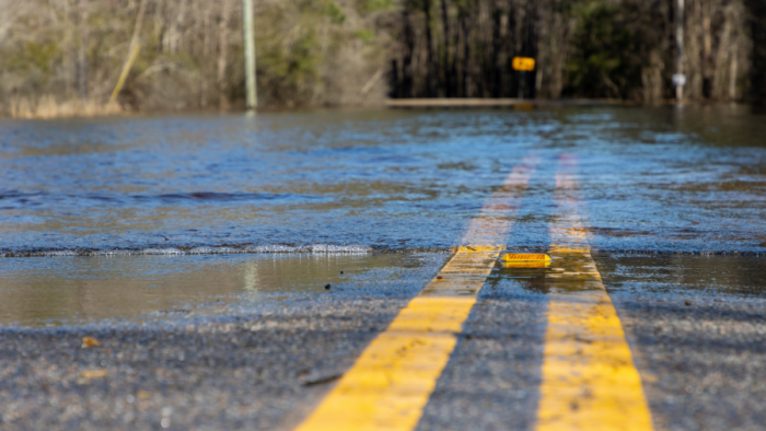 A close up of the center of a road that has been flooded with water. There are trees in the distance.