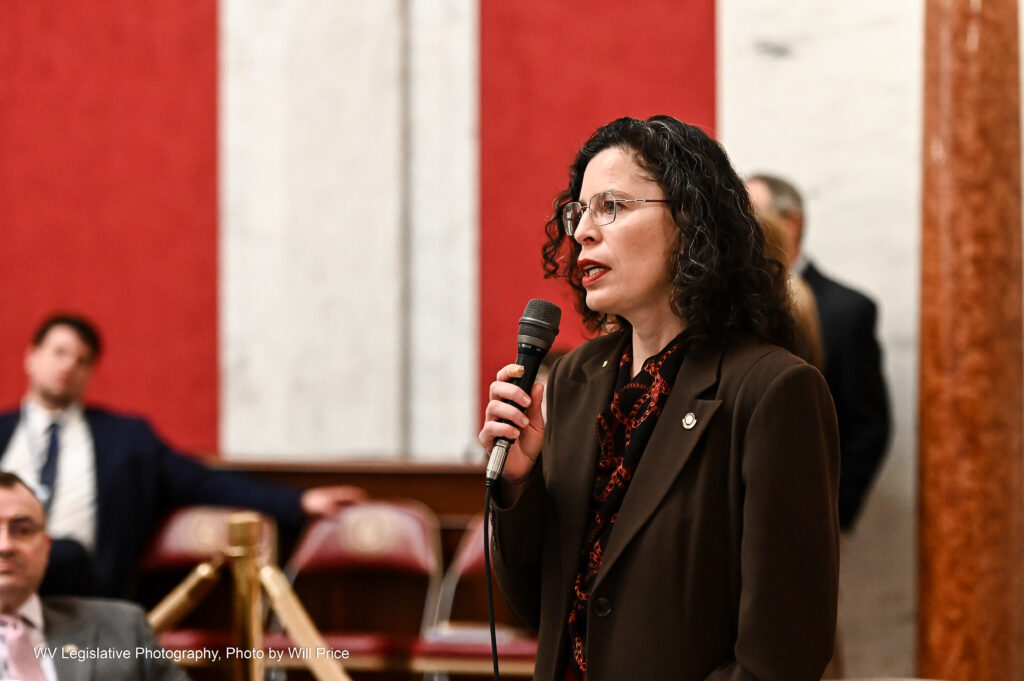 A woman stands on the Senate floor in a brown suit speaking into a microphone.