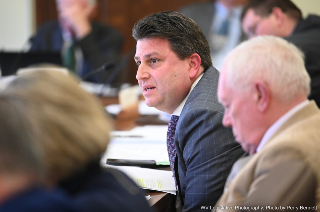 Del. Doug Skaff - seen in profile - leans forward to speak over a table covered in papers during the March 7, 2023 meeting of the House Finance Committee. He wears a purple tie with a white shirt and grey suit.