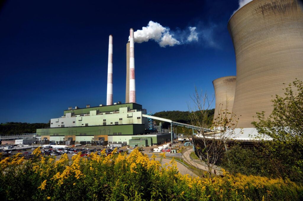 The Harrison Power Station, with a white plume of exhaust coming from a tall stack next to two large concrete cooling towers with a blue sky in the background and yellow flowers in the foreground.