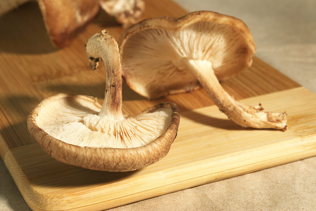Two shiitake mushrooms on a cutting board.