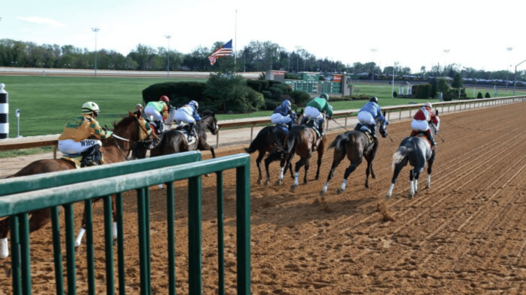 Thoroughbred horses spring from the gates in a race at the Hollywood Casino in Charles Town, W.Va.