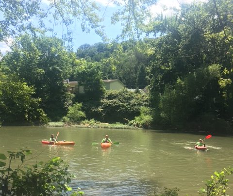 People kayak down the Guyandotte River on a sunny day.