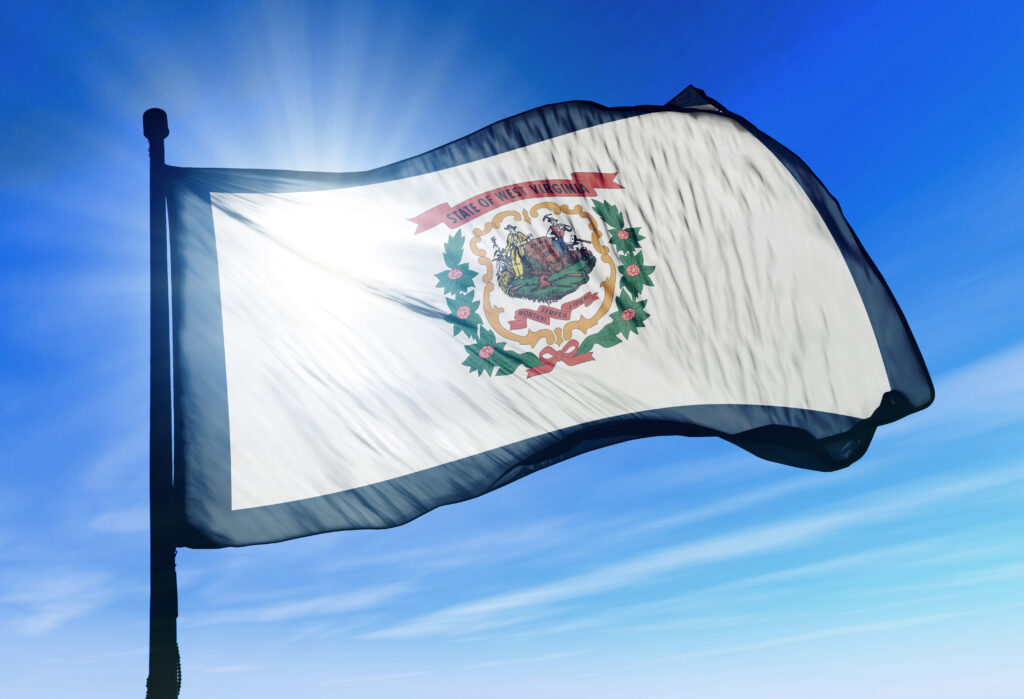A photo of the West Virginia state flag.