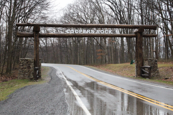 Big sign and road leading into forest.