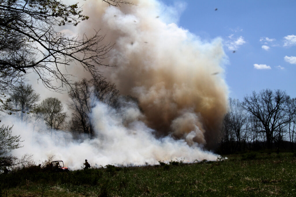 Smoke billows into the sky during a controlled grass burn.