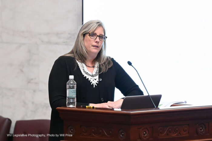 Woman with long gray hair makes a presentation.