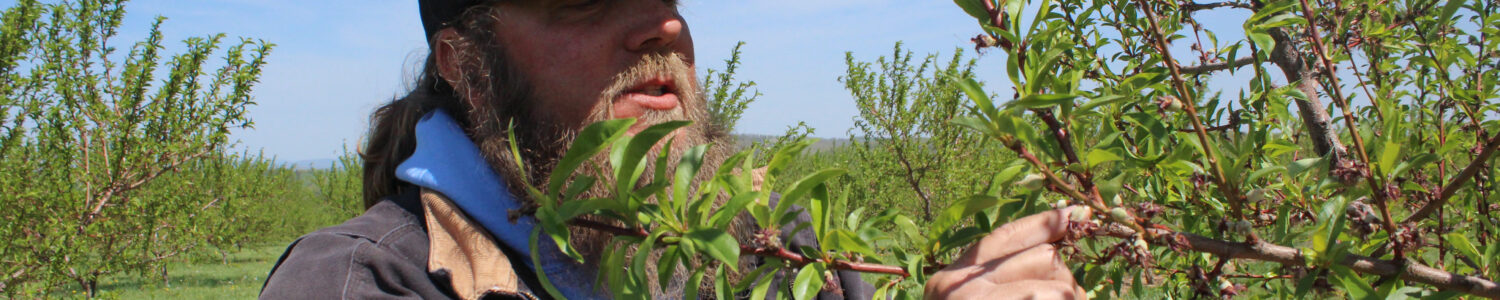 A man wearing a ball cap and a hoodie under a jacket holds the branch of a peach tree in front of a blue sky with wispy clouds.