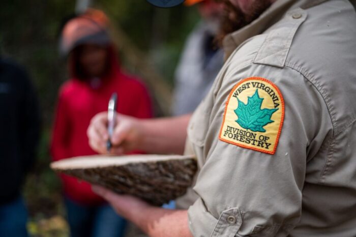A picture of a forestry worker instructing learners on tree felling