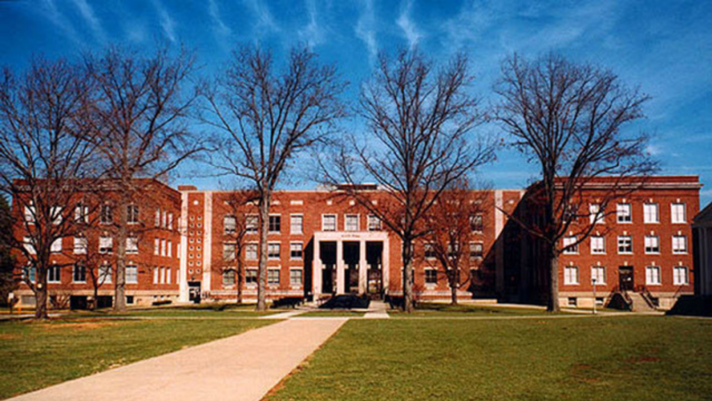 A brick building is shown in the distance against blue sky and trees.