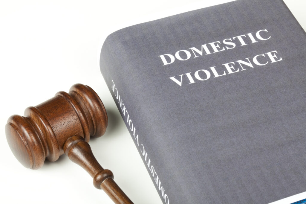 A judge's gavel is shown beside a grey book titled domestic violence.
