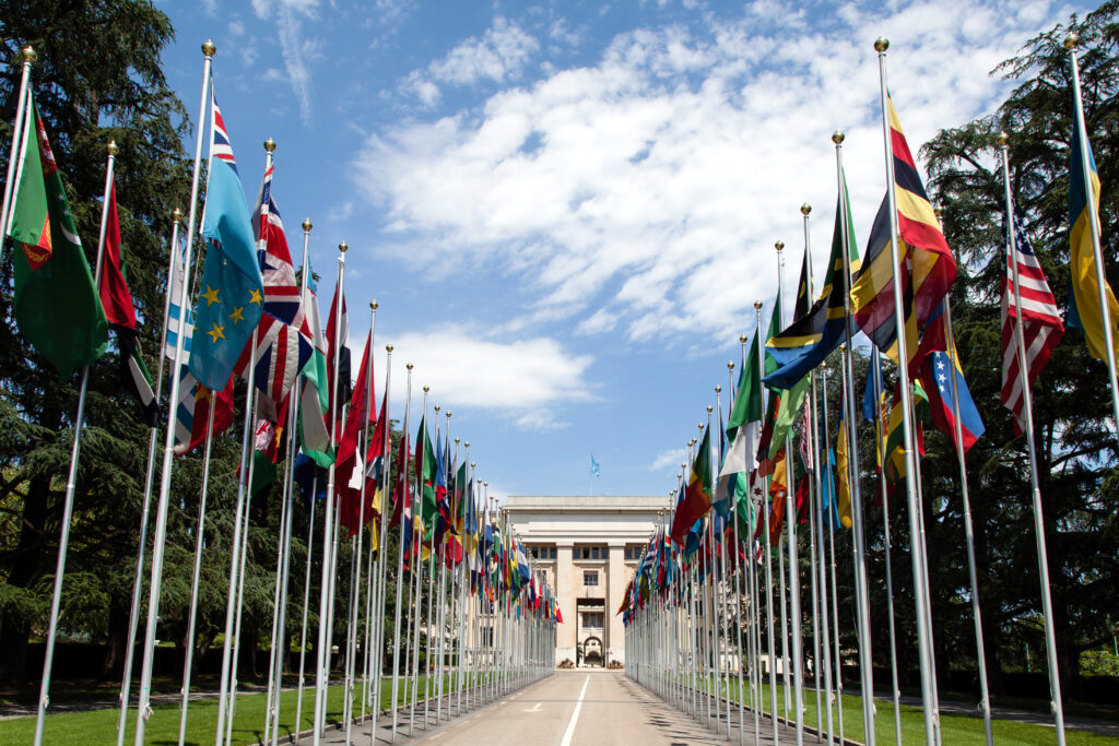 Dozens of flags are displayed on tall flagpoles in front of the Allée des Nations in front of the Palace of Nations, United Nations Office at Geneva. The flagpoles draw the eye towards the building under a blue sky with whispy clouds. Trees are visible between the flagpoles.