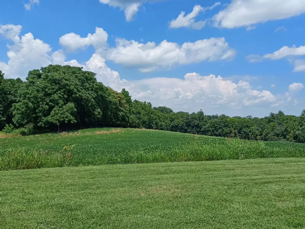 Rolling, green farmland along the Potomac River against a blue sky with white clouds.
