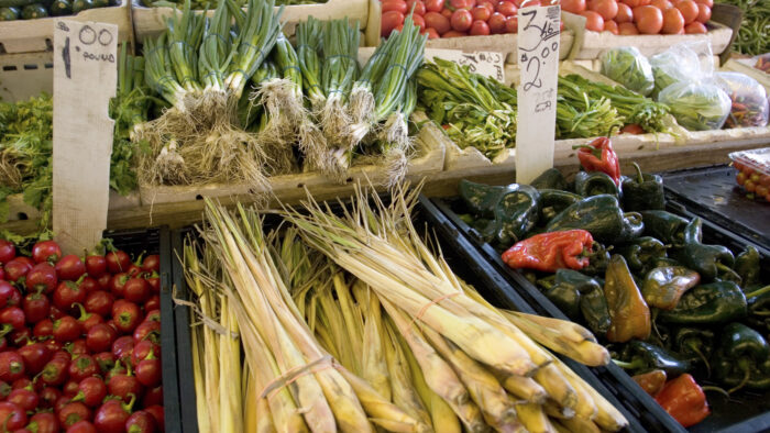 Vegetable are show laid in rows, ready to be purchased at a farmer's market.