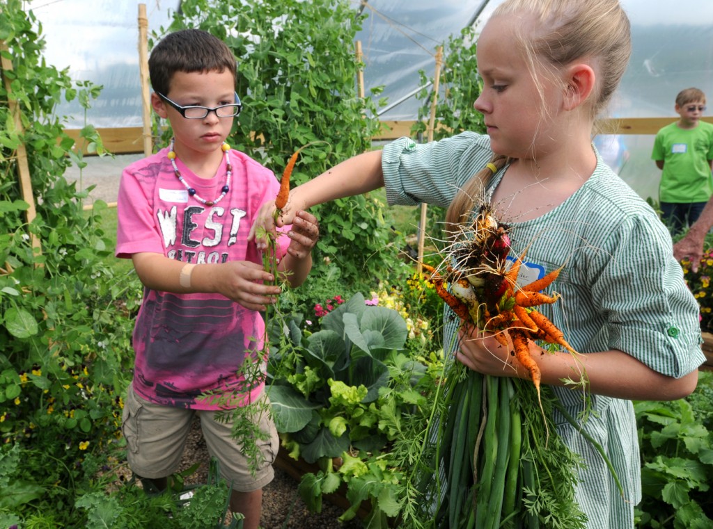 A young boy wearing a pink shirt and khaki shorts hands a freshly picked carrot to a young girl holding a bunch of fresh vegetables. The pair appears to be standing in a greenhouse, with green plants and vines climbing a wood frame covered in plastic behind them.