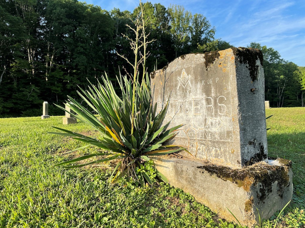 A headstone in a cemetery is seen. A plant has been placed in front. In the background is a clear blue sky and green trees.
