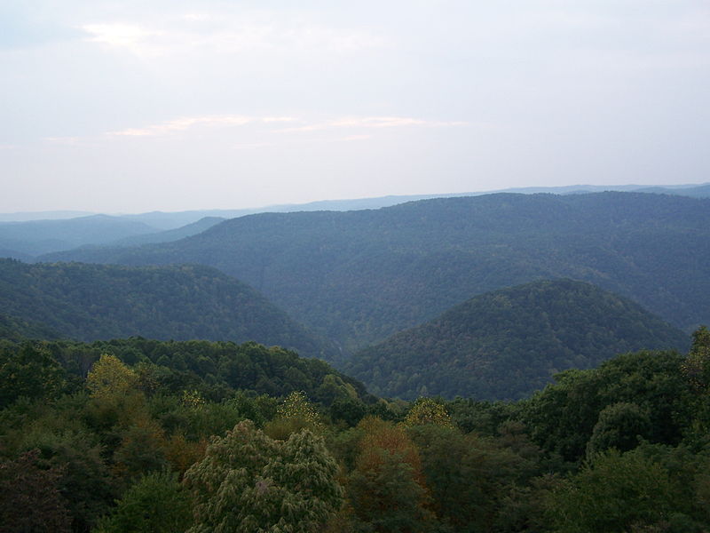 Rolling hills covered in dense forest extend towards the horizon, where the ridgelines begin to become hazy.