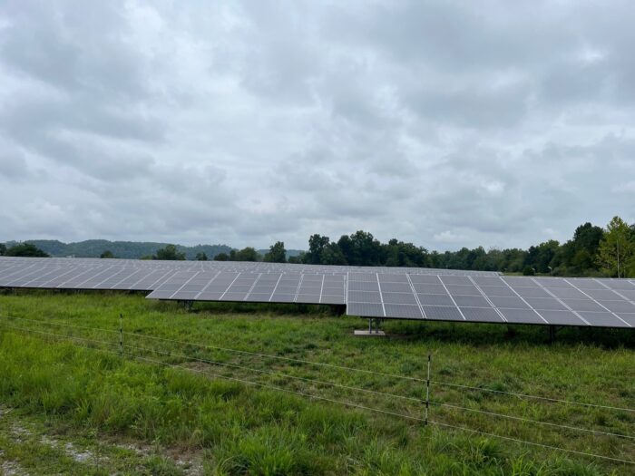 Solar panels arranged in a green field under overcast skies.