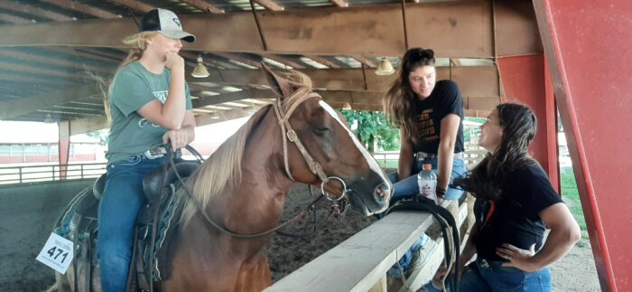 Three women and a brown horse in a horse riding arena