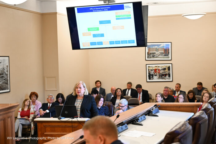 A roomful of people watch a woman present a structure plan for her department.
