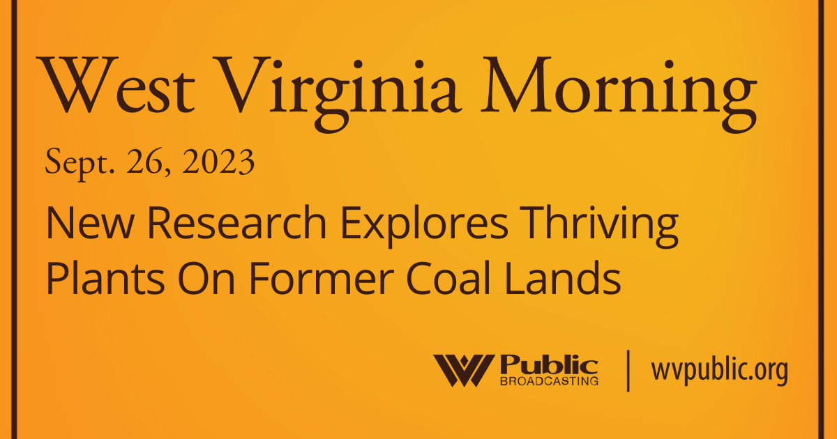 New Research Explores Thriving Plants On Former Coal Lands, This West Virginia Morning