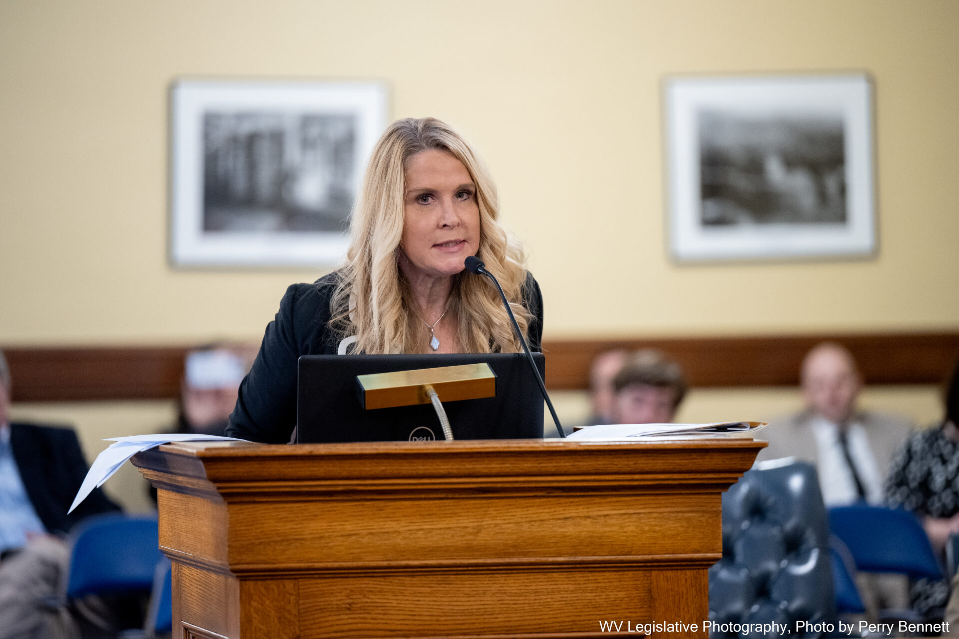 Blonde lady at podium speaks to legislative committee