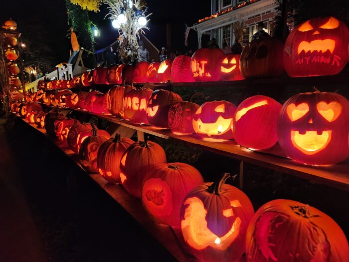 a line of glowing pumpkins, nearly 100 pumpkins deep. 