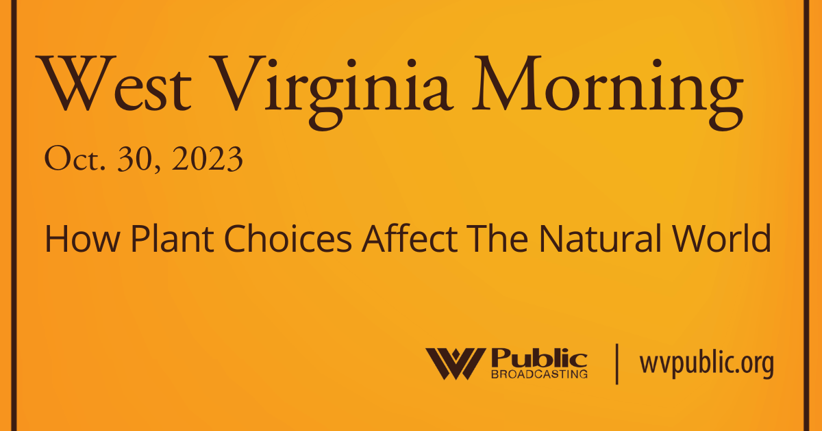 How Plant Choices Affect The Natural World, This West Virginia Morning
