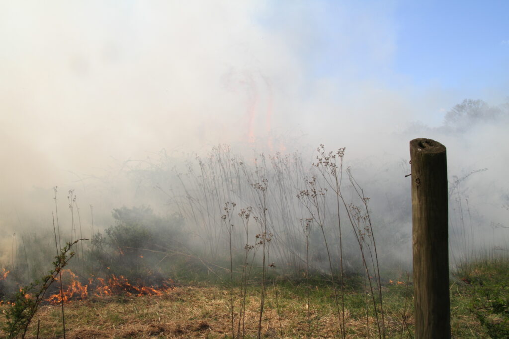 smoke plumes around grassy area.