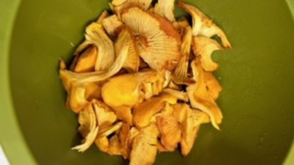 Yellow chanterelle mushrooms are cut up in a green bowl.