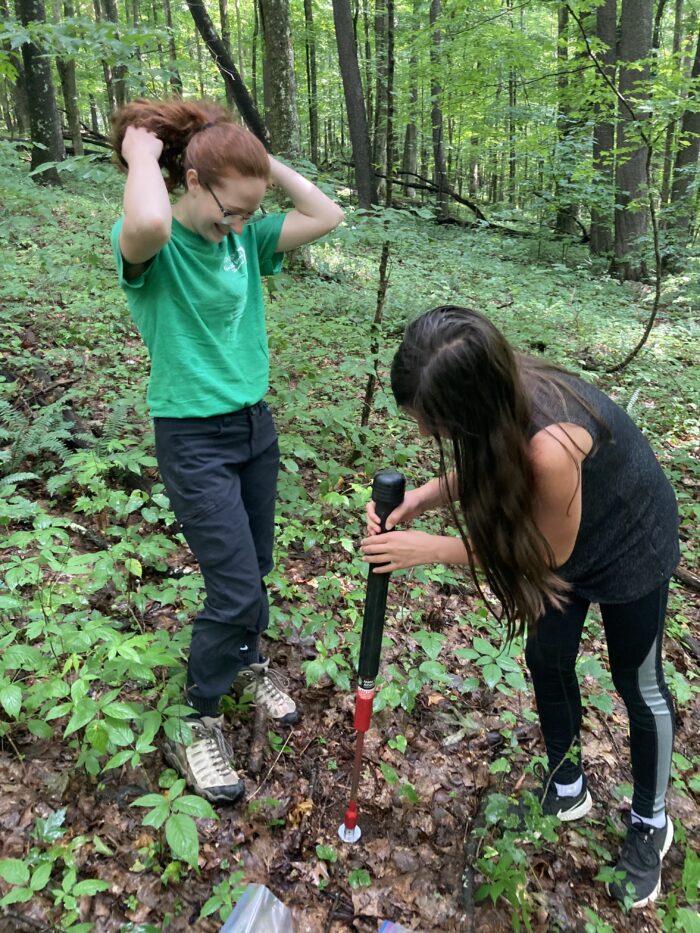 Two females - one a graduate student and another a middle school student - use a tool to collect soil samples in a green forest.