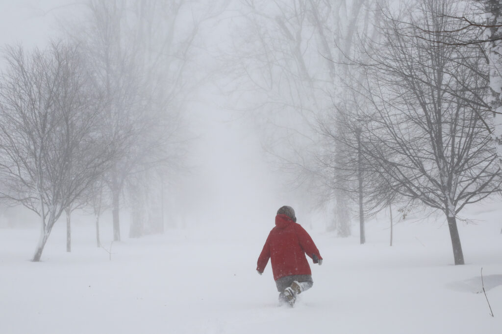 A person in a red jacket trucks through heavy snowfall in Amherst, New York, United States.
