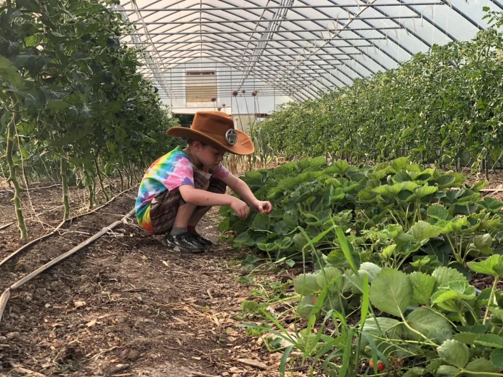 A child inside a high tunnel garden, managed by Grow Ohio Valley in Wheeling.