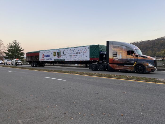 A large flatbed trailer holds a 63-foot spruce tree parked on a road accompanied by police vehicles at sunset on a warm November day.