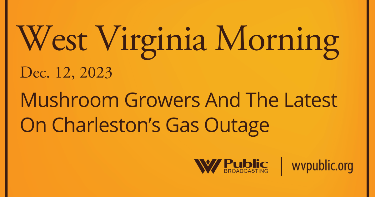 Mushroom Growers And The Latest On Charleston’s Gas Outage, This West Virginia Morning