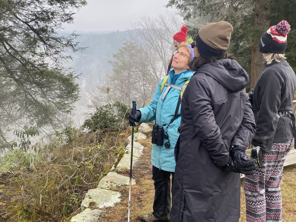 Three people outside in winter clothing looking over a mountainside