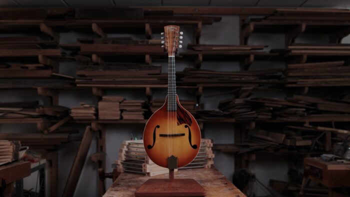 A beautiful mandolin.