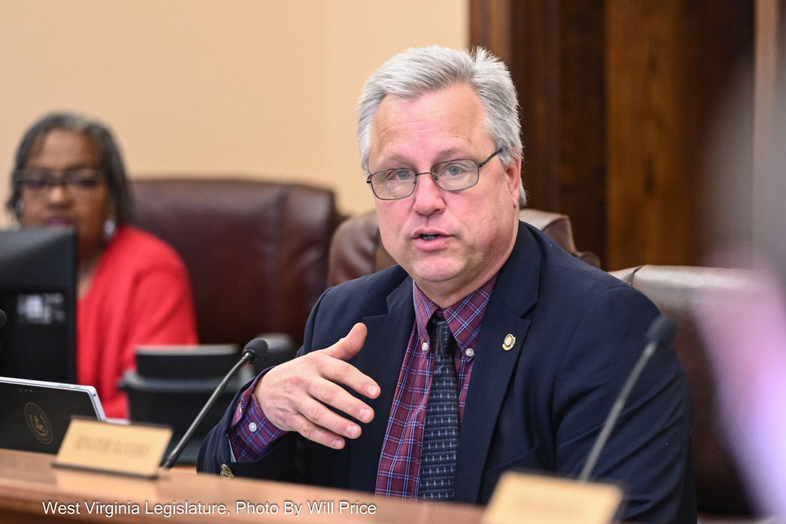 Sen. Karnes sits at a desk at a Senate Transportation and Infrastructure Committee meeting, speaking into a microphone and gesturing with his right hand.