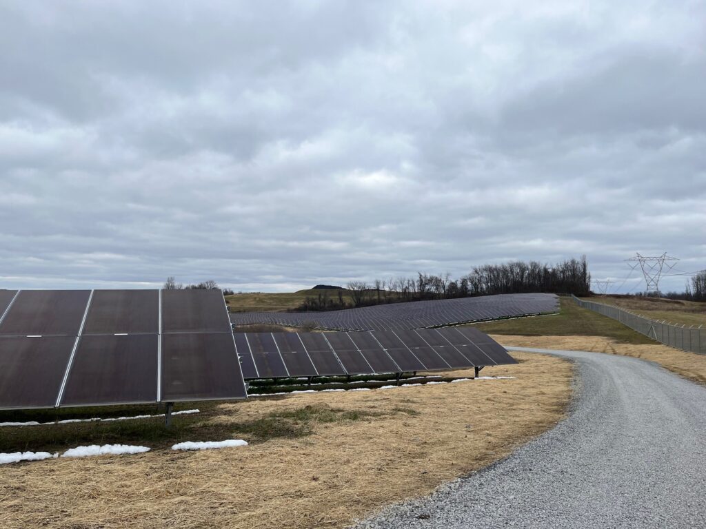 Black solar panels spread out over a rolling hill, with new grass planted below and a gravel road running between them.