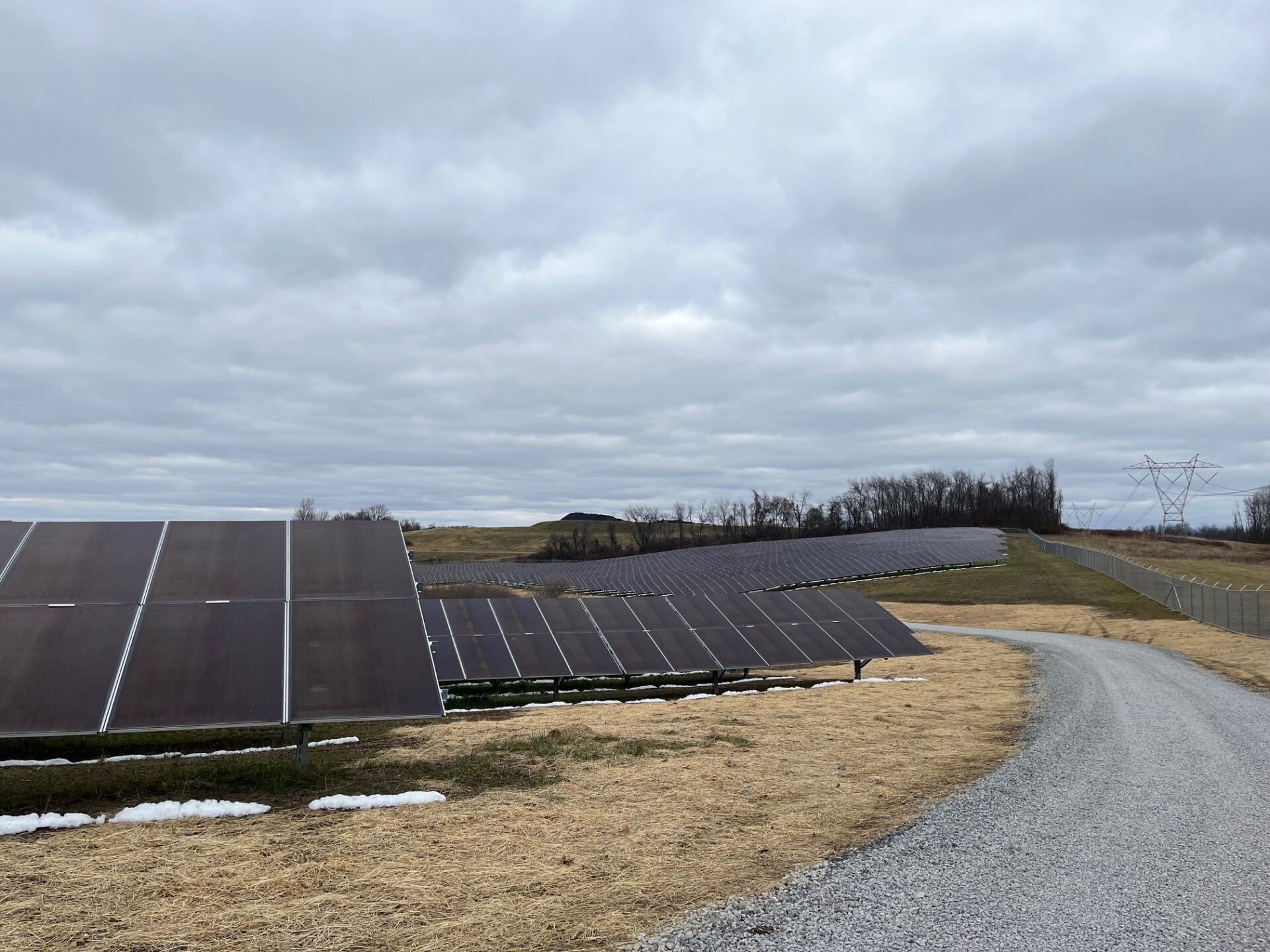 Black solar panels spread out over a rolling hill, with new grass planted below and a gravel road running between them.