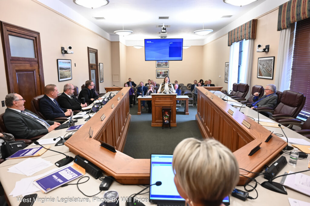 A wide shot of the Senate Education Committee meeting in the Senate Finance Chamber Feb. 1, 2024. A woman's head can be seen in the foreground as a large desk/dais curves away into the background. in the center, below a blue screen can be seen a woman standing at a lectern in front of a seating area in the far background.