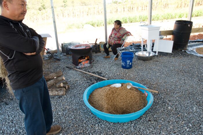 Two people are shown standing over a small plastic pool size of harvested rice.
