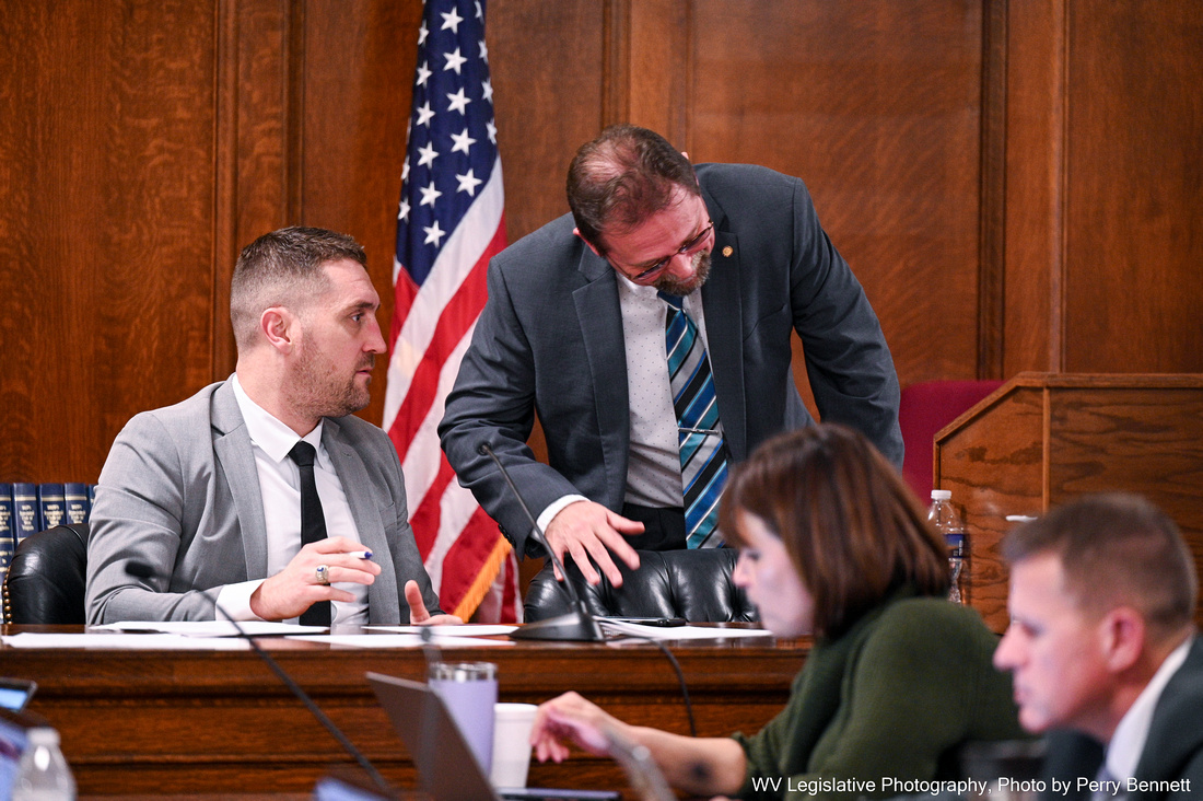 Delegate Pat McGeehan sits at a desk at a meeting of the House Committee on Government Organization. He is looking to his left, speaking to a man looking down at the desk.