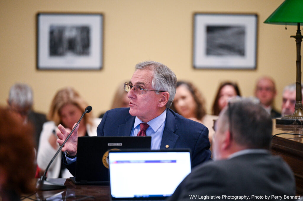 A man wearing a suit with a computer and microphone speaks to a committee.