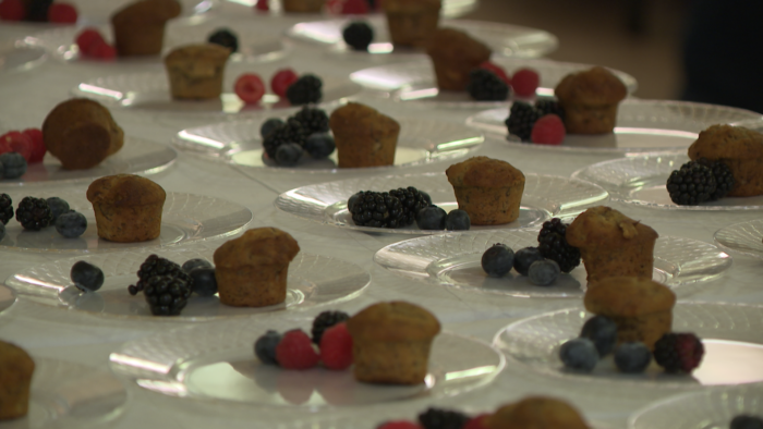 Several plates of berries and mini-muffins